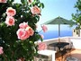 Bed-and-Breakfast 17219