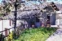 Bed-and-Breakfast 17558